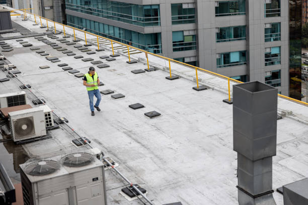 Best Skylight Installation and Repair  in Ferndale, MI