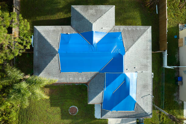 Best Roof Maintenance and Cleaning  in Ferndale, MI
