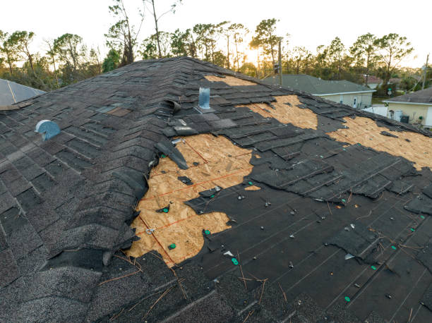 Best Flat Roofing  in Ferndale, MI