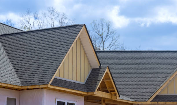 Best Roof Waterproofing  in Ferndale, MI