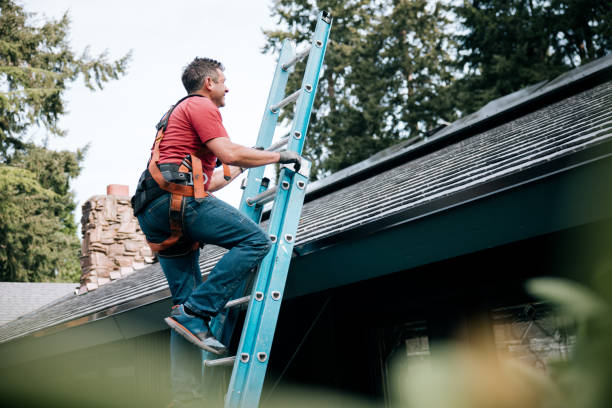 Best Rubber Roofing (EPDM, TPO)  in Ferndale, MI