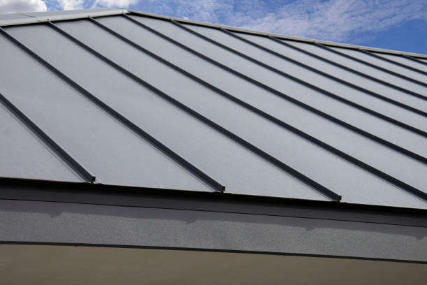 Roof Coating Services in Ferndale, MI