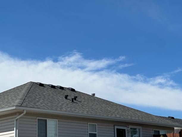Best Emergency Roof Repair Services  in Ferndale, MI